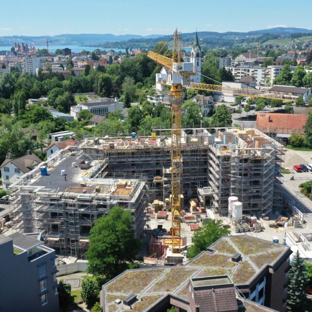 Bild des Tages